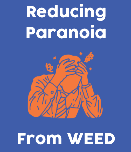 5 Ways to Reduce Paranoia from Weed