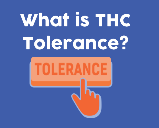 What is THC "Tolerance"?