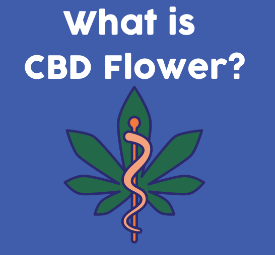 What is CBD Flower?