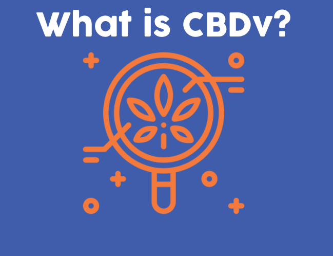 What is CBDV?